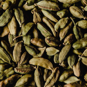Cardamome