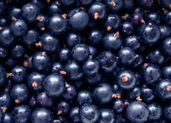 Cassis
