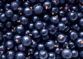 Cassis