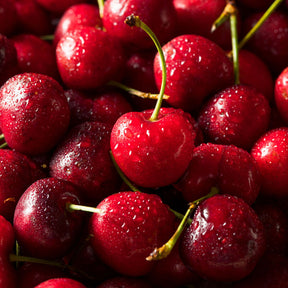 Cerise