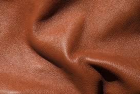 Cuir