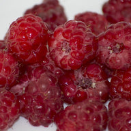 Baies rouges