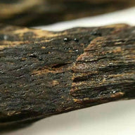 Bois d'oud