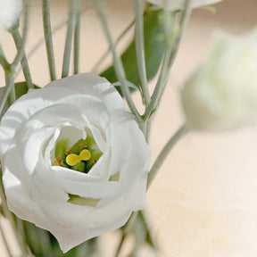 Fleurs blanches