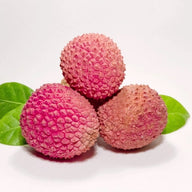 Litchi