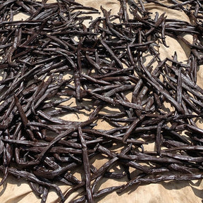 Musc vanillé