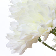 Notes florales