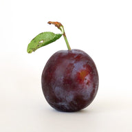Prune