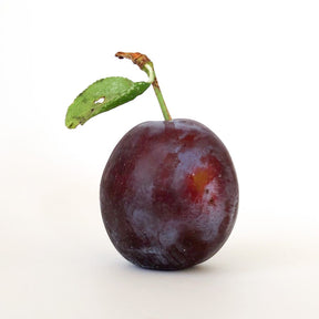 Prune